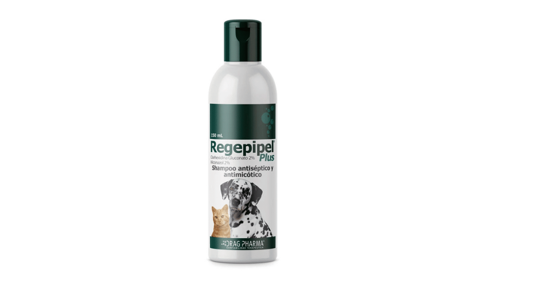 REGEPIPEL PLUS SHAMPOO X 150 ML