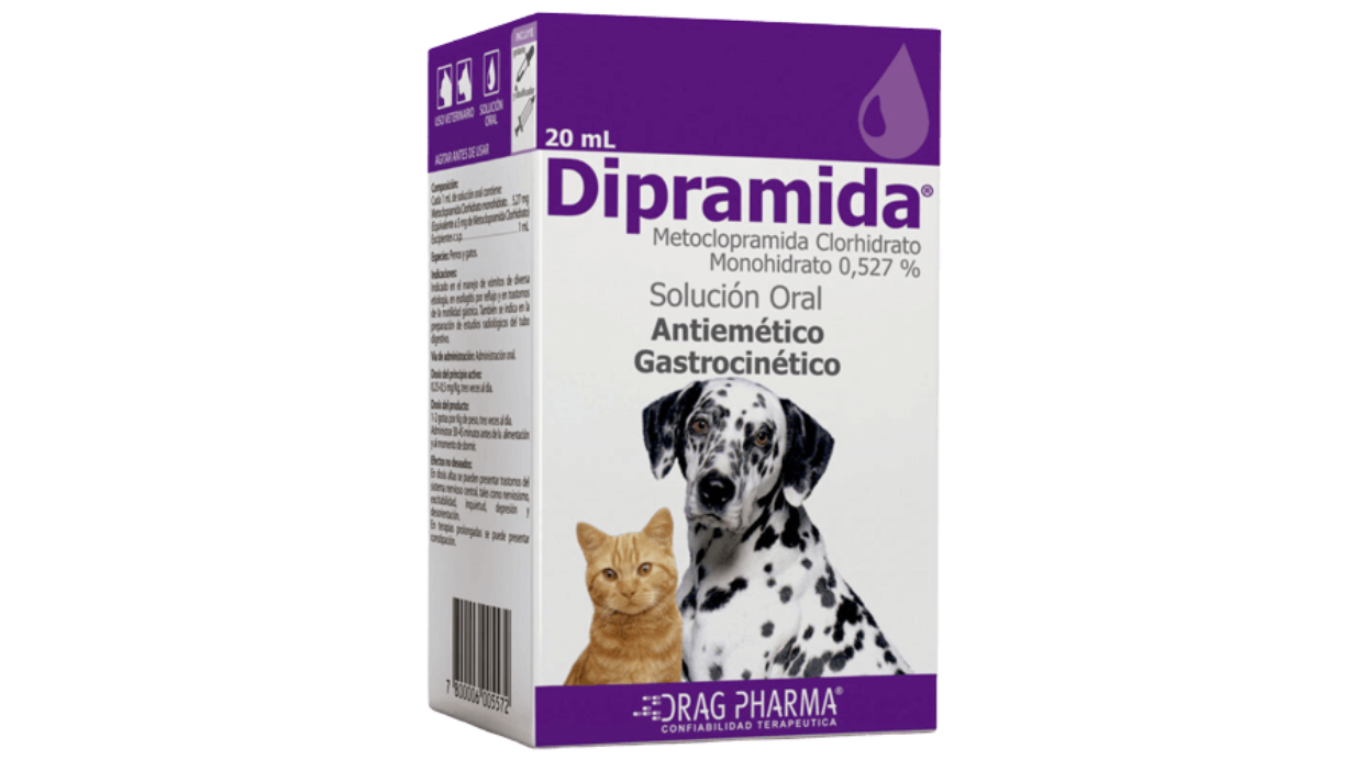 DIPRAMIDA METOCLOPRAMIDA CLORHIDRATO MONOHIDRATO 0.527% SOLUCION ORAL X 20 ML