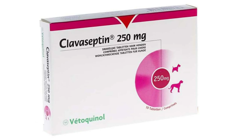 CLAVASEPTIN 250 MG X 10 COMPRIMIDOS MASTICABLES