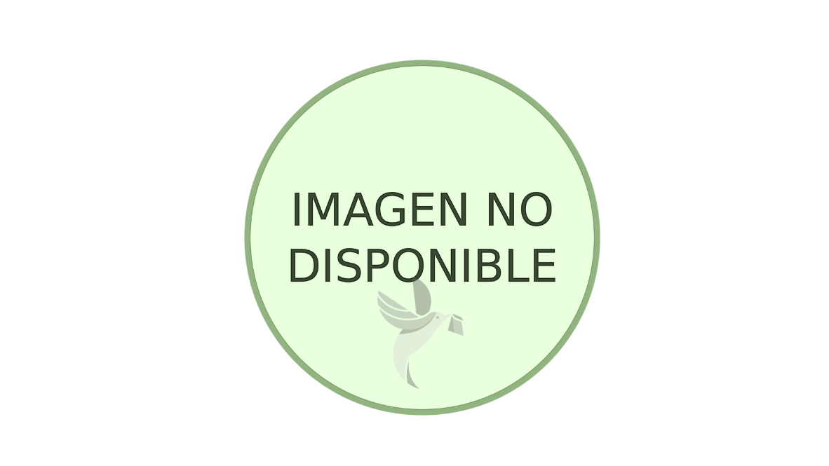 AMOXICILINA 250 MG X 30 CAPSULAS