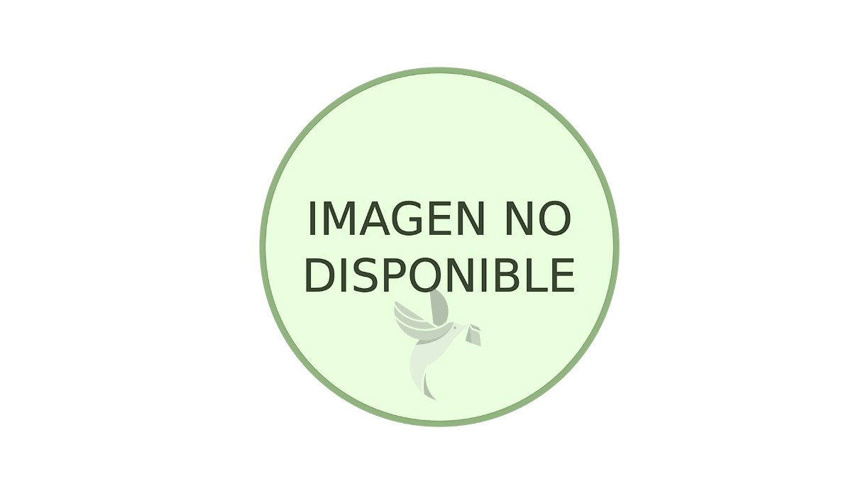 BECLOMETASONA  250 MCG/DOSIS AEROSOL PARA INHALACIÓN ORAL X 200 DOSIS