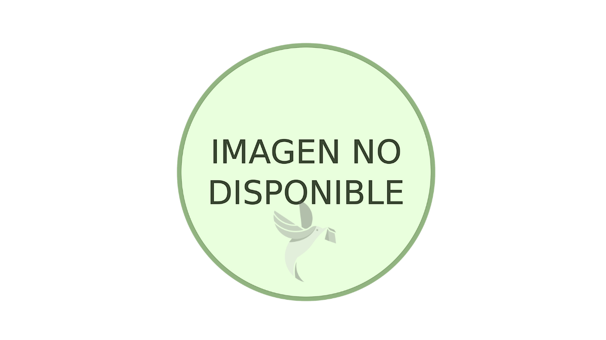 BETAMETASONA 0,6 MG X 30 COMPRIMIDOS