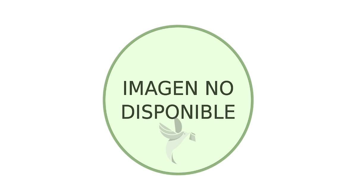 CEFIXIMA 400 MG X 30 CAPSULAS