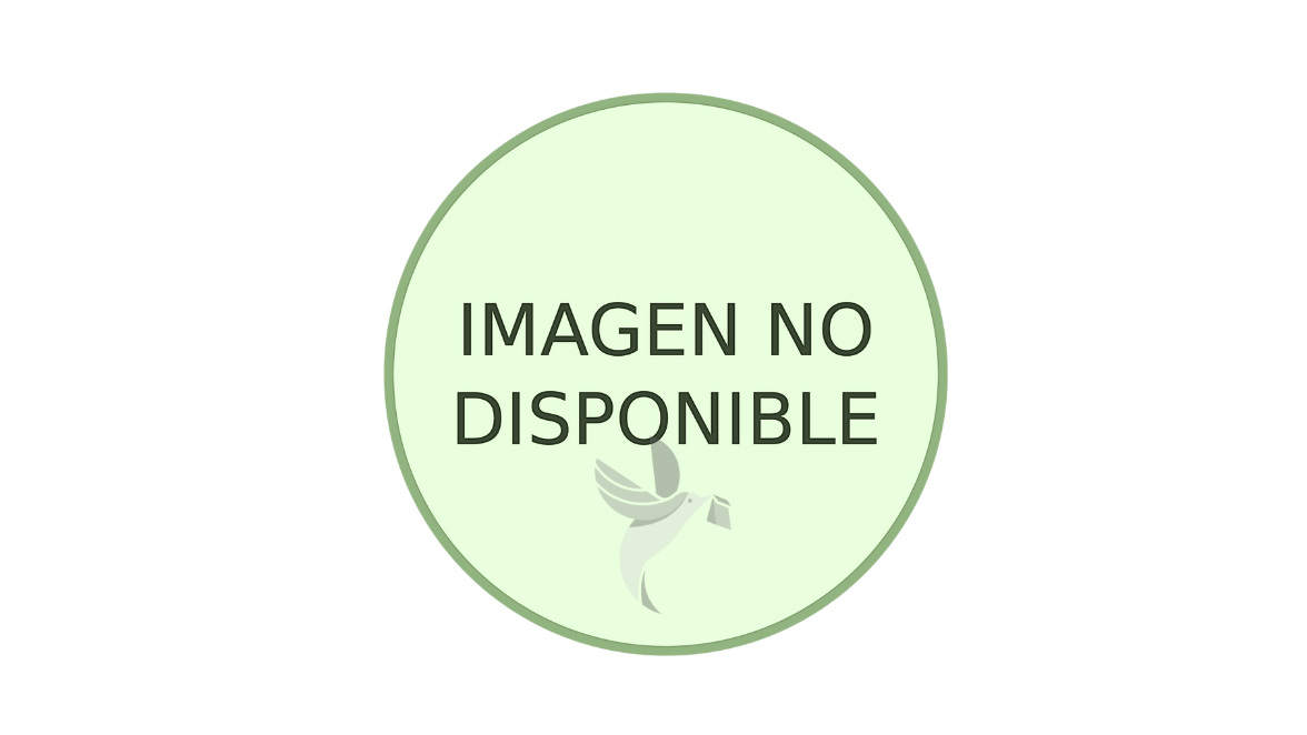 CLORANFENICOL 500 MG X 10 CAPSULAS