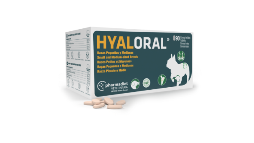 HYALORAL RAZA PEQUEÑA Y MEDIANA X 90 COMPRIMIDOS 