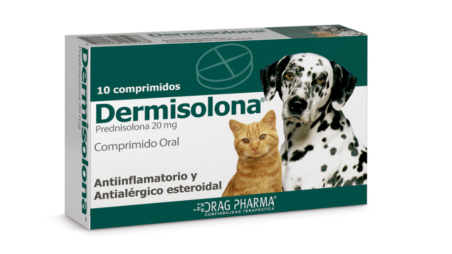 DERMISOLONA PREDNISOLONA 20 MG X 10 COMPRIMIDOS