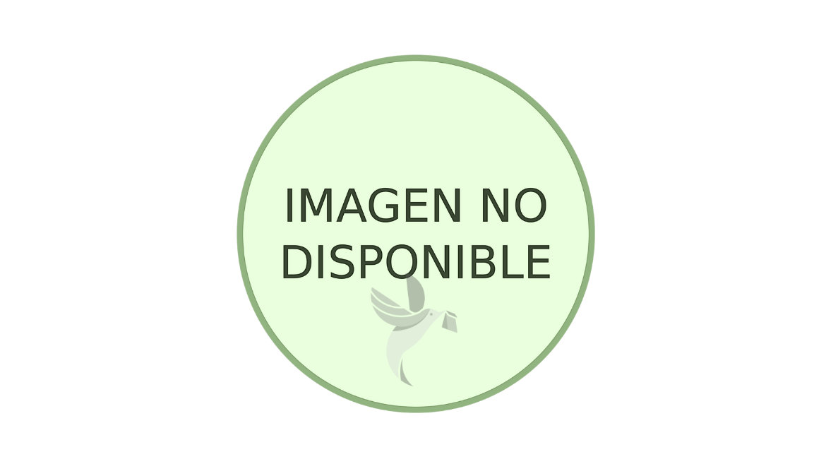COTRIMOXAZOL FORTE X 10 COMPRIMIDOS